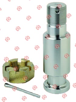 Kit Pivot Conique Compatible Avec Daf Daf  Ref Onyarbi 90.17.23